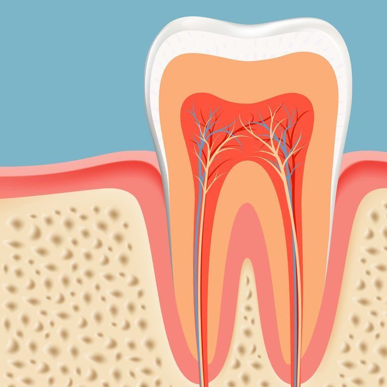Dental care at Eglinton Oak Dental in Mississauga, ON