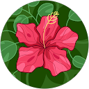 Alifa Fatima profile picture